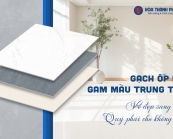 GẠCH ỐP LÁT GAM MÀU TRUNG TÍNH - VẺ ĐẸP SANG TRỌNG, QUÝ PHÁI CHO KHÔNG CHO