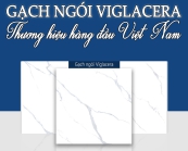 GẠCH NGÓI VIGLACERA THƯƠNG HIỆU HÀNG ĐẦU VIỆT NAM